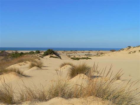 Piscinas Le Dune Di Sabbia Sand S Dunes Sardinia Italy The Beauty