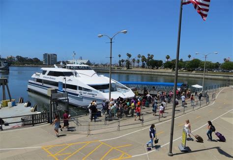 Catalina Island Ferry | agentcats