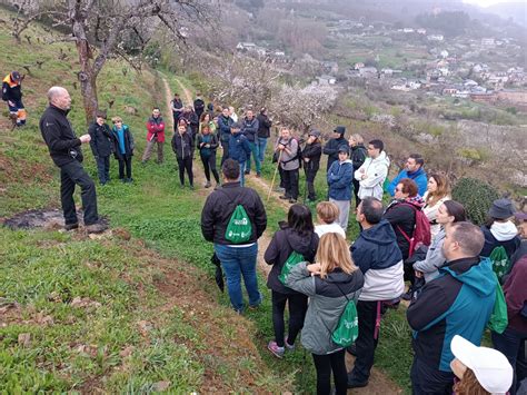 La Lluvia No Impidió Disfrutar De La Ruta Por Los Cerezos Organizada