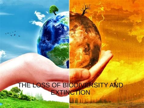 extinction  loss  biodiversity