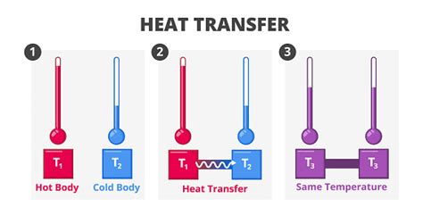 Vector Scientific Illustration Of Heat Flow Heat Transfer Or Fouriers