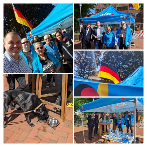 Infostand In Hohenwestedt Mit Julian Flak Afd Schleswig Holstein