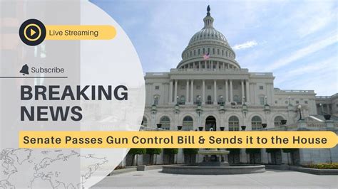 Senate Passes Gun Control Bill And Sends It To The House Youtube