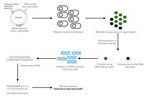 DNA digital data storage