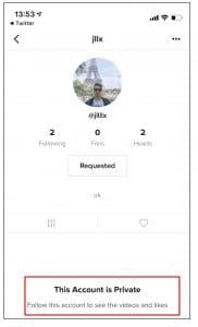 Tricks On How To View Private Tiktok Accounts Jul