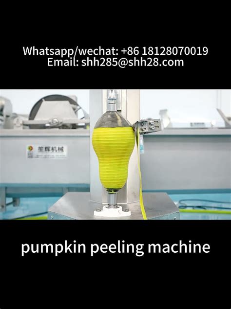 Automatic Pumpkin Peeling Machine Fruit Peeler Taro Skin Removing