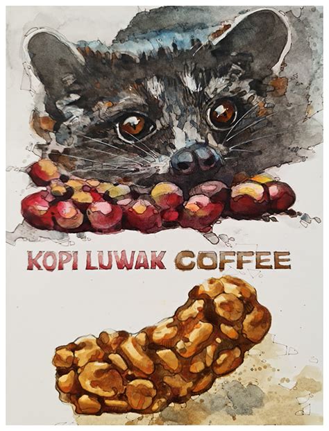 Kopi Luwak Coffee :: Behance