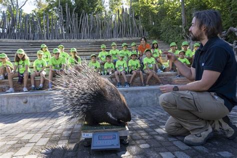 Comienza la escuela de vacaciones Expedición África de BIOPARC