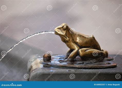 Frog Sculpture Pouring Water Fountain Detail Stock Image Image Of