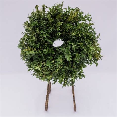 Boxwood Wreath - Plant Life Designs