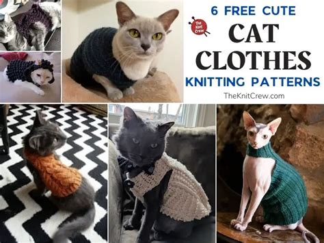 6 Free Cute Cat Clothes Knitting Patterns - The Knit Crew