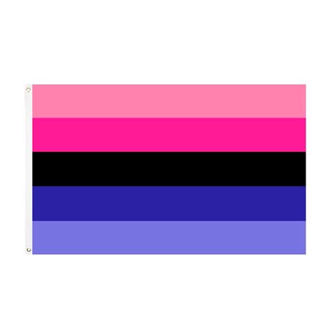 Omnisexual Pride Flag Queer In The World The Shop