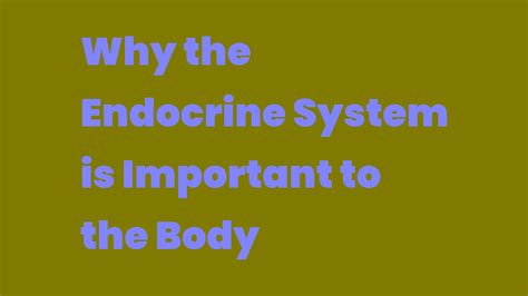 Why The Endocrine System Is Important To The Body Write A Topic