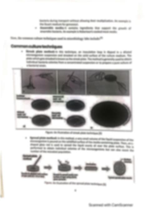 Solution Microbiology Techniques Studypool