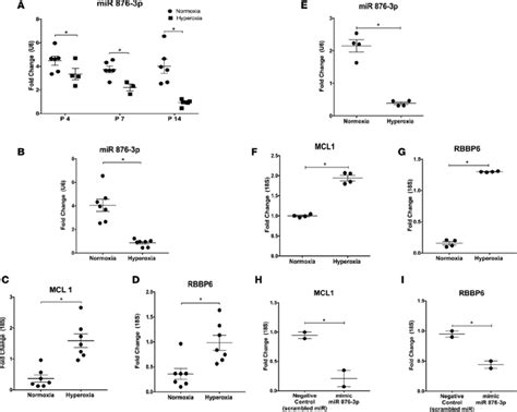 The Expression Of Exosomal Mir P Is Decreased And Its Targets Are