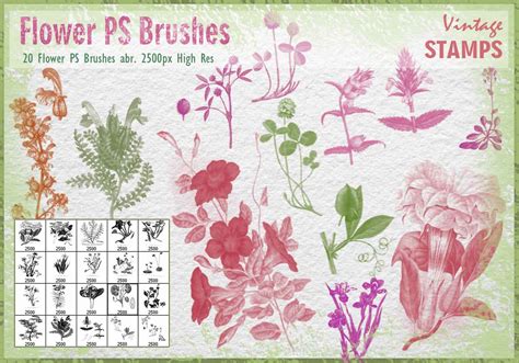 Vintage Flower Ps Brushes Abr Free Photoshop Brushes At Brusheezy