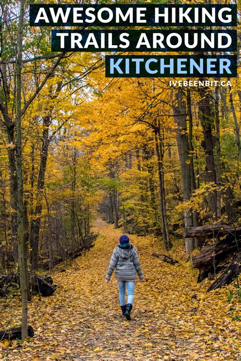 The kitchener to toronto travel deal that locals just discovered 31