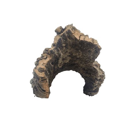 Cork Bark Half Rounds | One Bioactive Terrarium & Aquarium Supply Experts