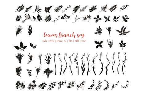 Leaves Svg Bundle Graphic By MeshaArts Creative Fabrica