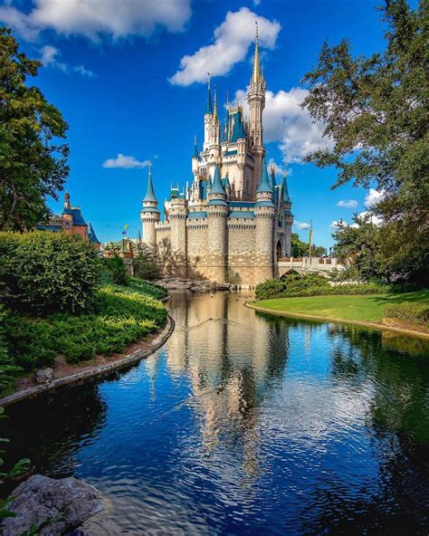 The Castle Is Surrounded By Trees And Water