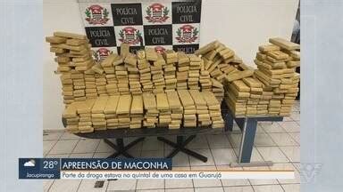 Jornal Tribuna 1ª Edição Polícia Civil apreende mais de 600 kg de