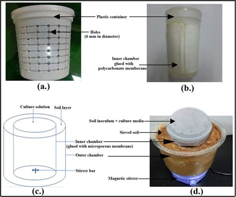 Design Of The Diffusion Bioreactor For The Cultivation Of Previously