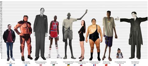 A height comparison chart with some giants part 1 by AlexKatch98 on ...