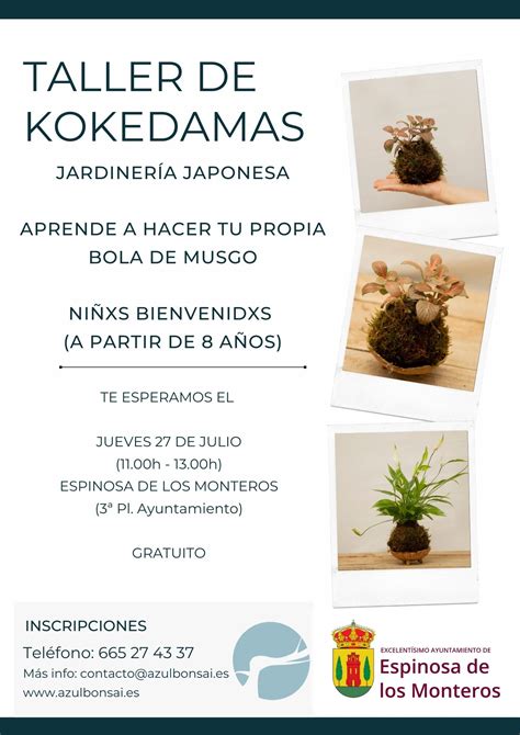 Taller De Kokedamas Espinosa De Los Monteros