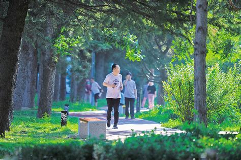 厚植生态底色 推动绿色发展――庆阳市生态文明建设工作综述 新闻中心 青海新闻网