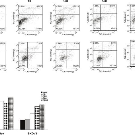 Jq Induced Cellular Apoptosis In A Dose Dependent Manner Jq