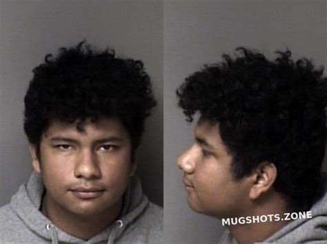 ECHEVERRIA JESUS MANUEL MONTES 02 27 2024 Gaston County Mugshots Zone