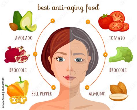 The Best Anti Aging Food Vector Information Collage Infographics On