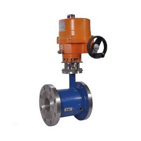 Wcb Cf Cf M Motorized Way Jacketed Design Ball Valve With