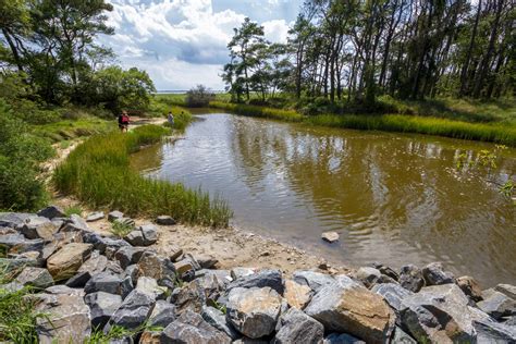 Assateague Island National Seashore Outdoor Project