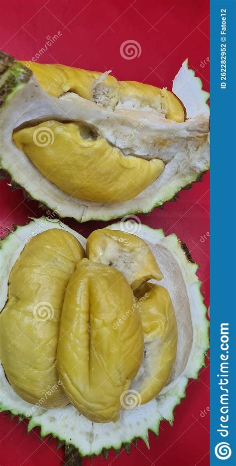 The King Of Malaysian Fruits Named Durian Royalty Free Stock Photo