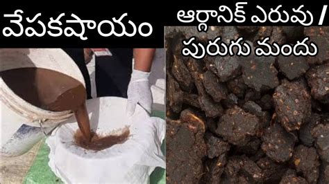 192 Powerful కషాయం Organic Pesticide Pest Control For Plants Organic Pest Control Method