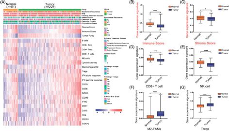 Prostate Cancers Showed Immunosuppression In Tcga Cohort A The