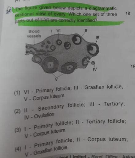 The Figure Given Below Depicts A Diagrammatic Sectio Biology