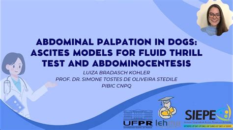 30º Evinci Abdominal Palpation In Dogs Ascites Models For Fluid