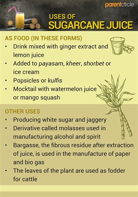 Sugarcane Nutrition Facts G Besto Blog