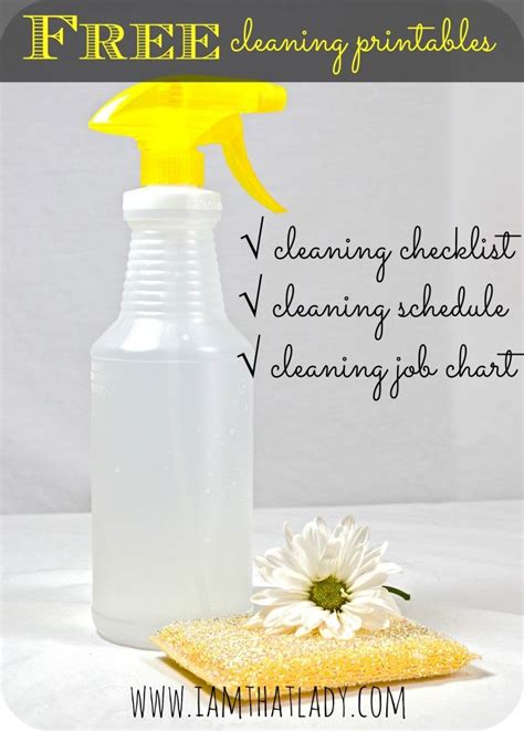 Free Cleaning Printables