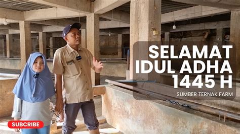 Kandang Kosong Dan Siap Diisi Sapi Sapi Super Sumber Ternak Farm