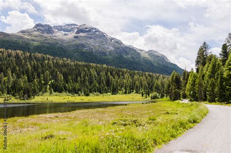 St Moritz Stazersee Stazerwald Bergsee Badesee Wanderweg