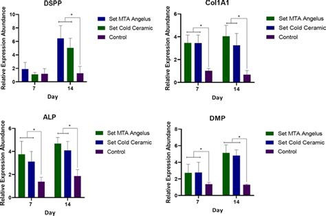 Relative Expression Of Target Odontogenic Markers Mta And Cc Increased