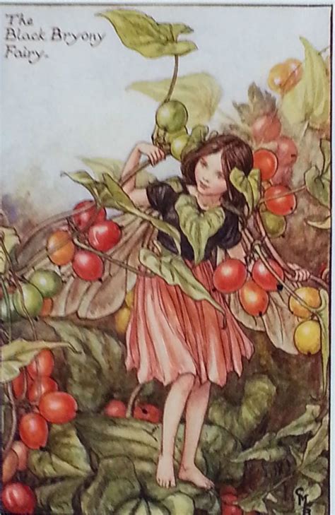 Flower Fairy Mounted Vintage Print 1930s Black Bryony CICELY MARY