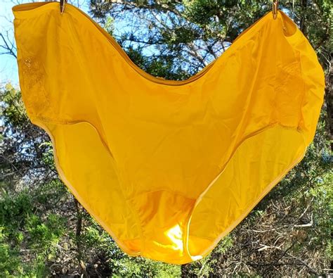 Shadowline Floral LACE Bikini Panty Shiny Nylon 9 2XL YELLOW Sun Goddess 11182 EBay