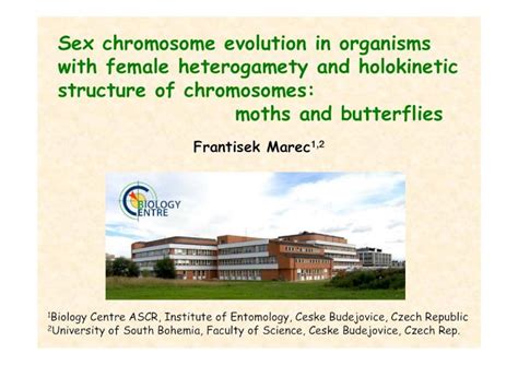 Pdf Sex Chromosome Evolution In Organisms With Female Mammals