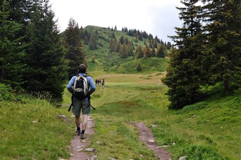 🥇 Imagen De Una Persona Gente Hombre Aire Libre Bosque Mo 【foto