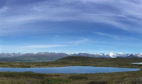 Denali Park Road Closed At Mile 43 During 2022 Season