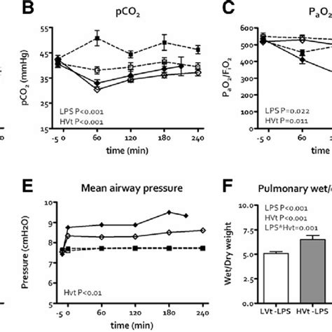 Ventilator Induced Lung Injury Induction In The Course Of Time